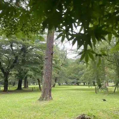 埼玉縣護國神社の周辺