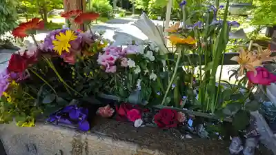 勝林寺(京都府)