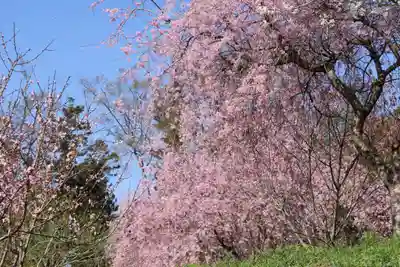 阿久津「田村神社」（郡山市阿久津町）旧社名：伊豆箱根三嶋三社の庭園
