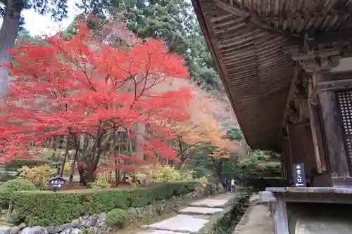 金剛輪寺の建物その他