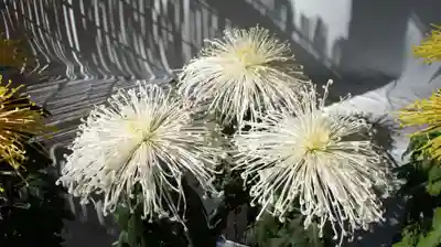 鹿島神宮(茨城県)