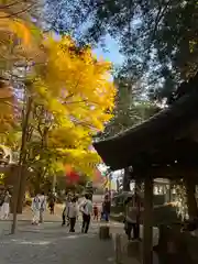 新倉富士浅間神社の建物その他