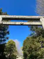 江東天祖神社の鳥居