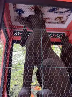 伏見稲荷大社の狛犬