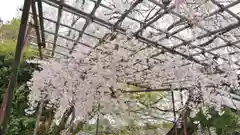 賀茂別雷神社（上賀茂神社）の庭園