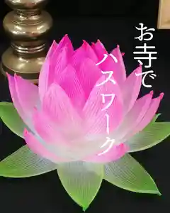 伊勢原 法泉寺(神奈川県)(2025年04月18日(金) 17時52分54秒投稿)