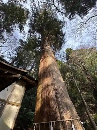 根小屋諏訪神社(神奈川県)