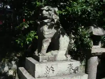 宇治神社の狛犬