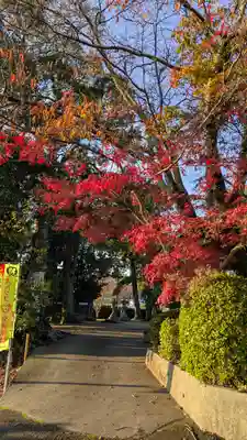 入野神社(京都府)