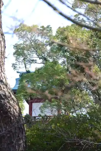 多摩川浅間神社(東京都)