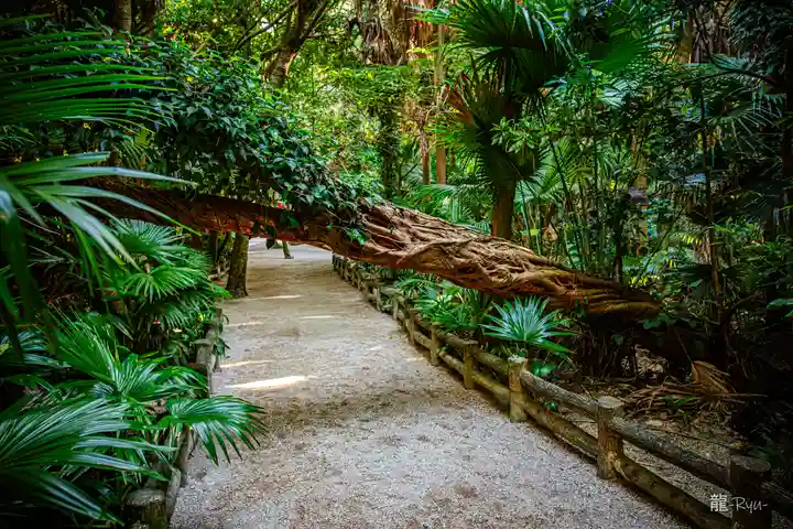 青島神社(青島神宮)(宮崎県)