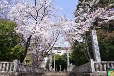 土呂八幡宮(愛知県)