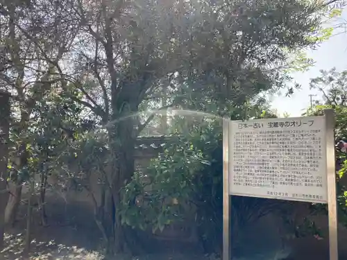 宝蔵寺のその他建物