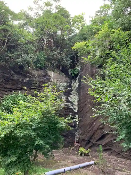 金刀比羅神社の自然