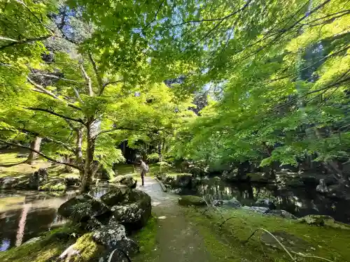 北畠神社の{uncategorized: "未分類", other: "その他", undefined: "問題あり", building: "その他建物", grave: "お墓", sacred_gate: "鳥居", guardian: "狛犬", statue: "像", buddha: "仏像", history: "歴史", nature: "自然", garden: "庭園", animal: "動物", pagoda: "塔", temizu: "手水舎", mountain_gate: "山門・神門", sanctuary: "本殿・本堂", subordinate: "末社・摂社", art: "芸術", scenery: "景色", jizo: "地蔵", ema: "絵馬", goshuin: "御朱印", omikuji: "おみくじ", items: "授与品その他", amulet: "お守り", goshuincho: "御朱印帳", eats: "食事", festival: "お祭り", votive_dance: "神楽", shichigosan: "七五三参", wedding: "結婚式", experience: "体験その他", initially: "初詣", around: "周辺", anti_infection: "感染症対策"}