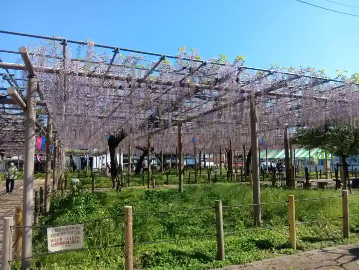 曼陀羅寺(愛知県)