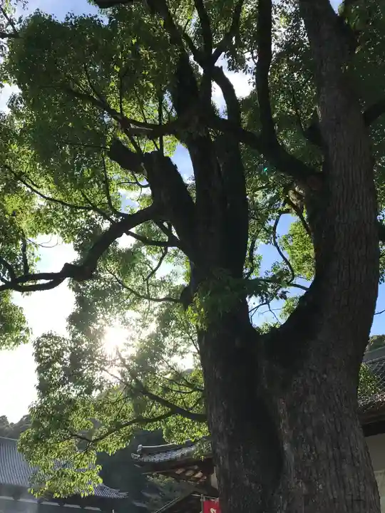 由加神社(和気由加神社)の自然