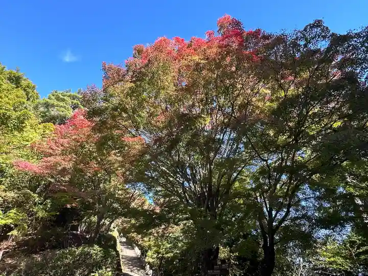 吉野水分神社(吉野町)の自然
