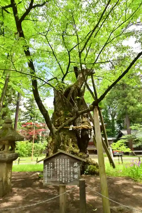 蠶養國神社(福島県)