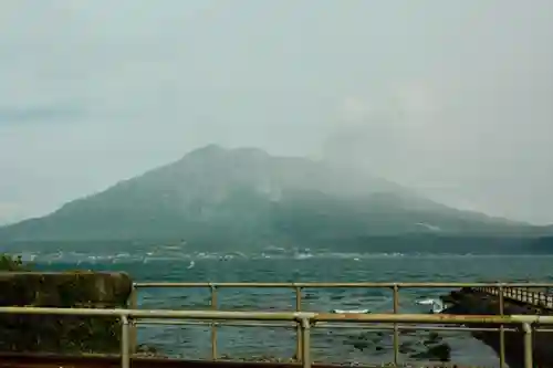 南洲神社の自然