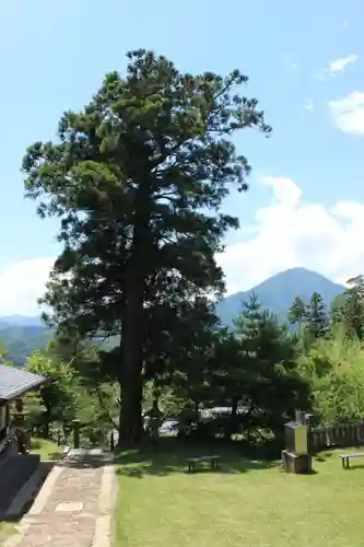 国宝 大法寺のその他建物