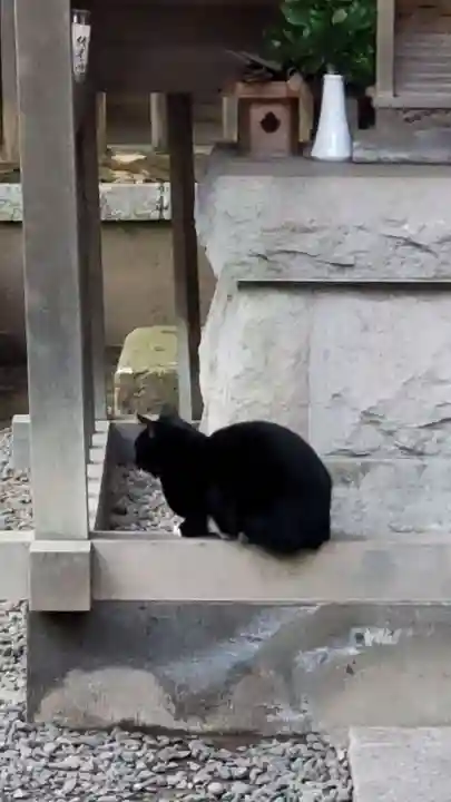 御園神社の動物