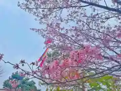 彌彦神社　(伊夜日子神社)(北海道)