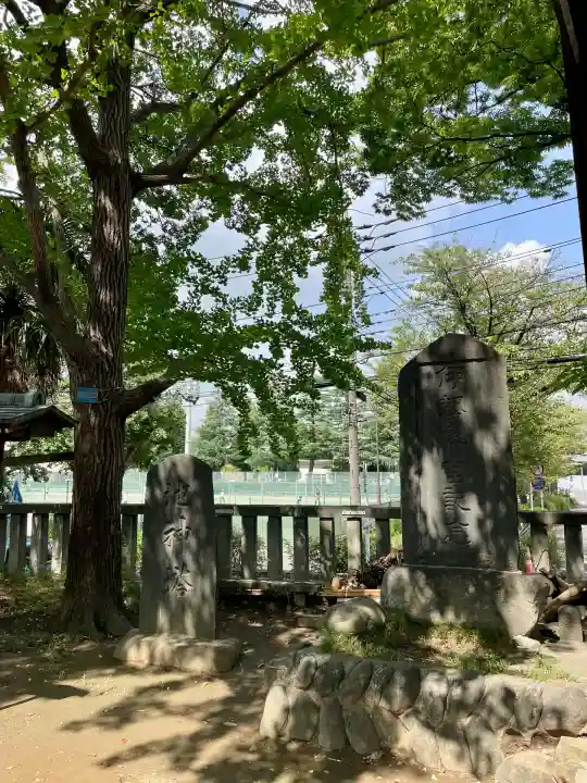 小杉神社(神奈川県)