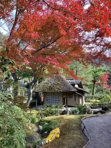 高台寺（高台寿聖禅寺・高臺寺）(京都府)