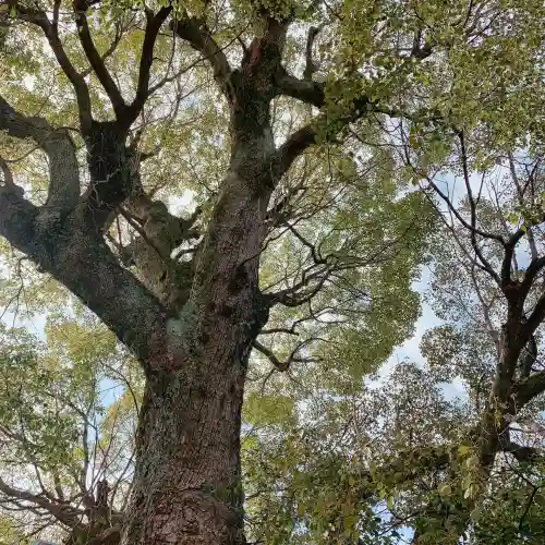 蟻通神社の{uncategorized: "未分類", other: "その他", undefined: "問題あり", building: "その他建物", grave: "お墓", sacred_gate: "鳥居", guardian: "狛犬", statue: "像", buddha: "仏像", history: "歴史", nature: "自然", garden: "庭園", animal: "動物", pagoda: "塔", temizu: "手水舎", mountain_gate: "山門・神門", sanctuary: "本殿・本堂", subordinate: "末社・摂社", art: "芸術", scenery: "景色", jizo: "地蔵", ema: "絵馬", goshuin: "御朱印", omikuji: "おみくじ", items: "授与品その他", amulet: "お守り", goshuincho: "御朱印帳", eats: "食事", festival: "お祭り", votive_dance: "神楽", shichigosan: "七五三参", wedding: "結婚式", experience: "体験その他", initially: "初詣", around: "周辺", anti_infection: "感染症対策"}