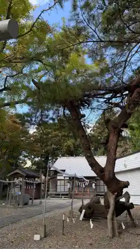 有川大神宮(北海道)