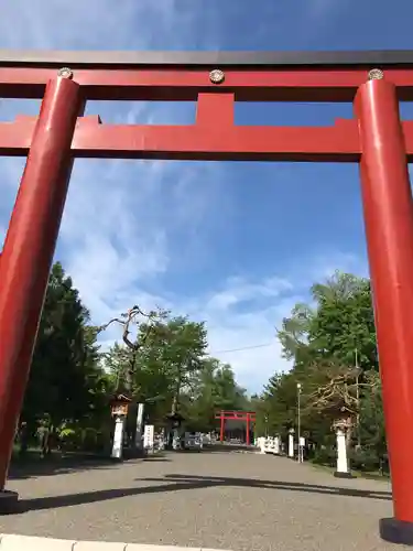 北海道護國神社の鳥居