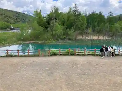 美瑛神社の周辺