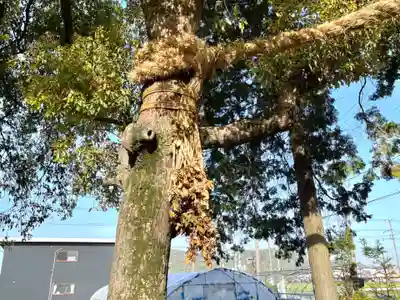 左右神社(滋賀県)