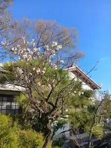 刺田比古神社(和歌山県)(2026年02月03日(火) 07時21分53秒投稿)