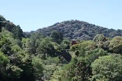 清水寺(京都府)
