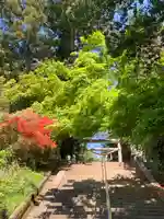 大胡神社(群馬県)