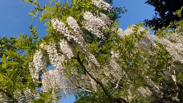 歌泉堂(春日大社神苑萬葉植物園内鎮座)(奈良県)
