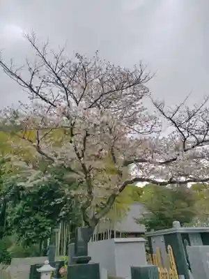 命徳寺(神奈川県)