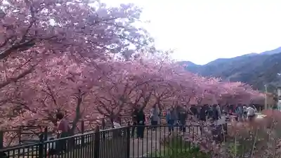 須佐乃男神社   の自然