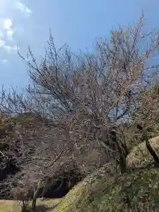 石内のお大師さん 金剛院(広島県)(2025年03月09日(日) 22時00分58秒投稿)