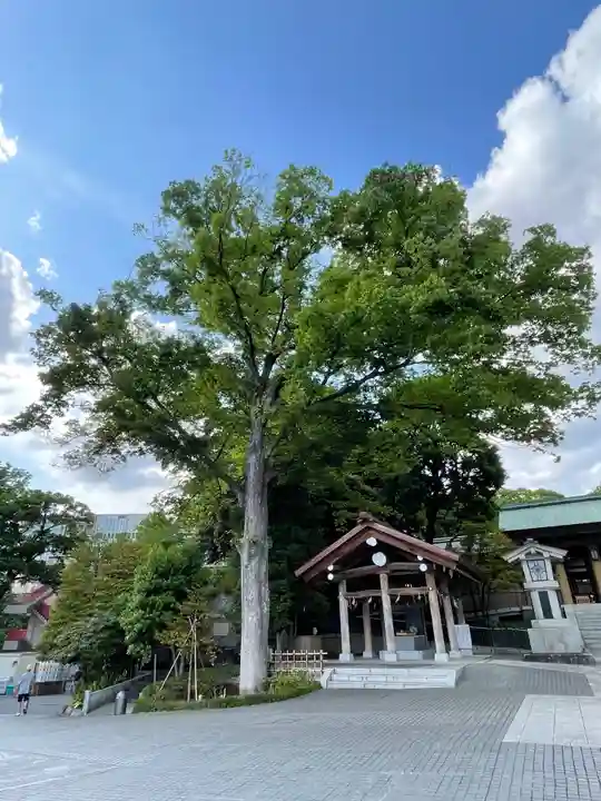 東郷神社の自然