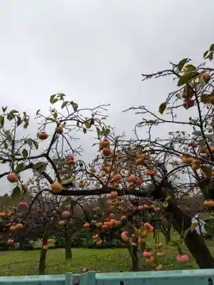 田端神社(東京都)