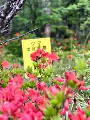 山の神神社(長野県)