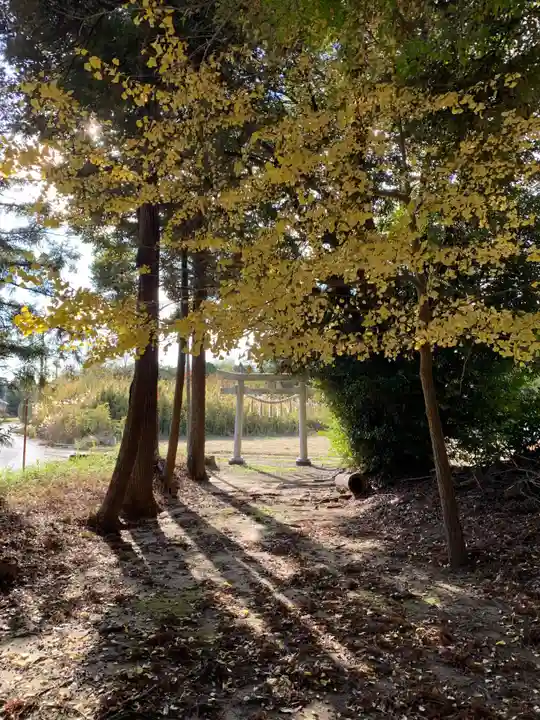 八坂神社(千葉県)