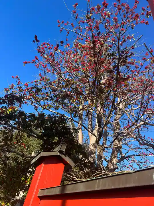 手力雄神社(岐阜県)