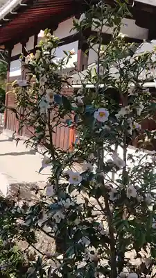 興聖寺(興聖寶林禅寺)(京都府)