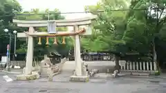 泉穴師神社の鳥居