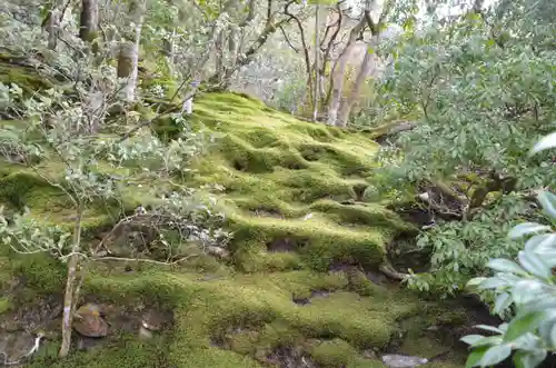 慈照寺（慈照禅寺・銀閣寺）(京都府)