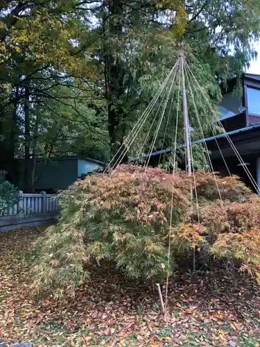 射水神社の庭園